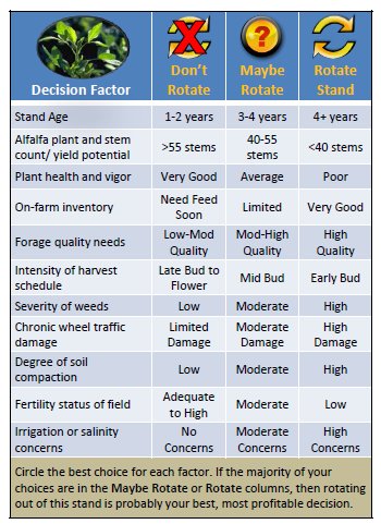 As old-man winter gets the boot...and  things up start to grow..start walking alfalfa stands. Timely tips for determine when to rotate fields rotate fields. #agronomy #alfalfa #ShoudlIStayOrShouldIGo