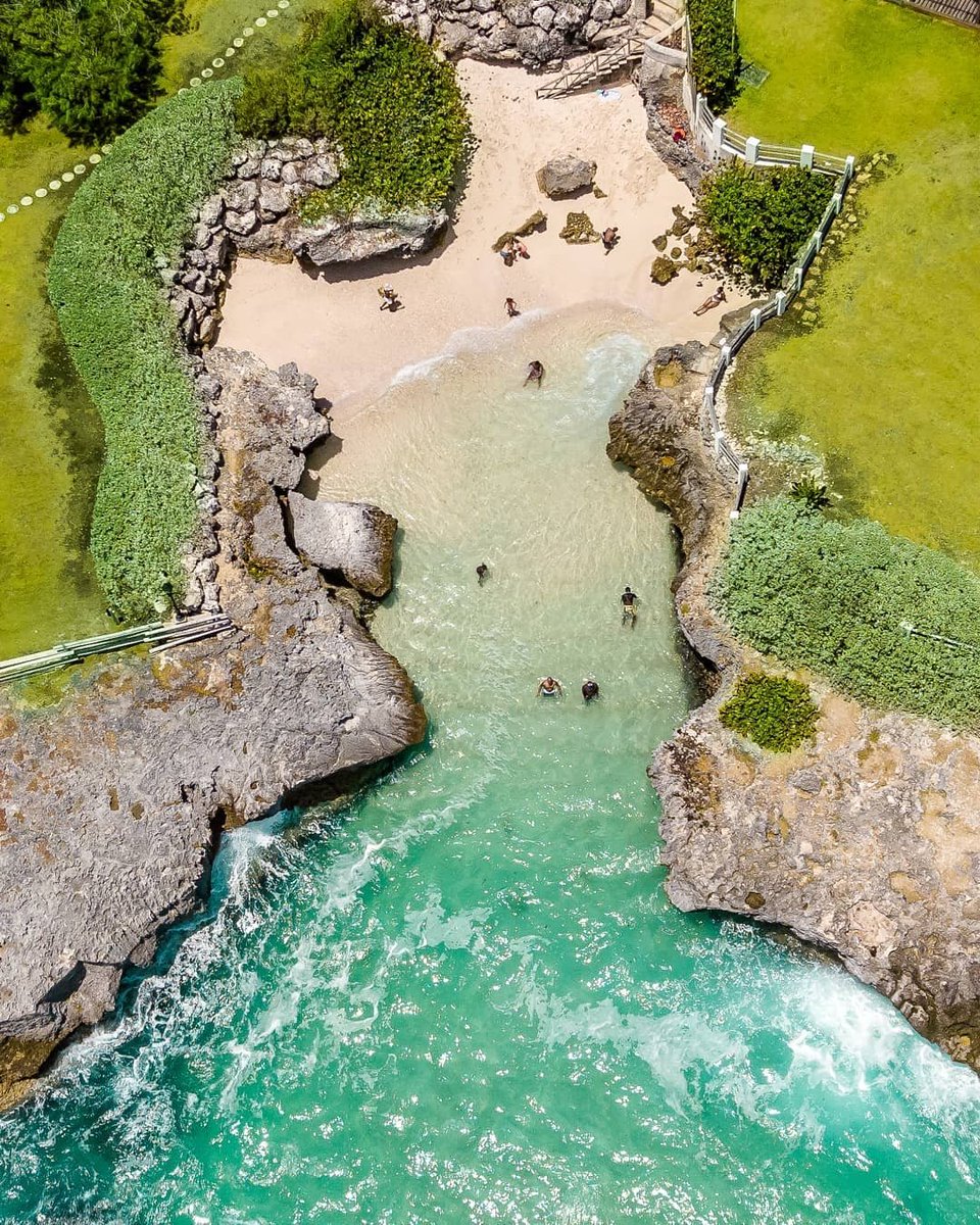 Barbados's tweet photo. Finding a good book is great, but reading it in Barbados is bliss! Where's your favourite reading spot on the island? #WorldBookDay #LoveBarbados 

📍 Shark's Hole, St. Philip

📸: its.barbados on IG https://t.co/iYEepNwpcx