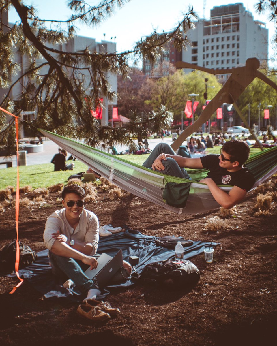 The Tab at ']['emple tweet media