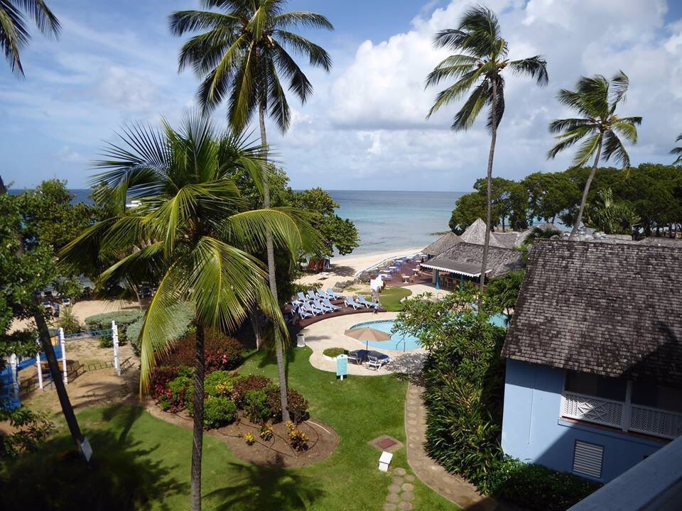 AlmondBarbados's tweet photo. Who doesn't love a good view? Tweet us pictures of your view at Almond in the comments! #MemoryLane #AlmondBeachBarbados #LiveAnIslandLife https://t.co/xCNcU2z8qY