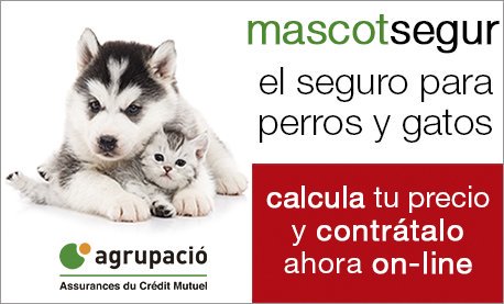 Mi Perro es Único (@miperroesunico) on Twitter photo 