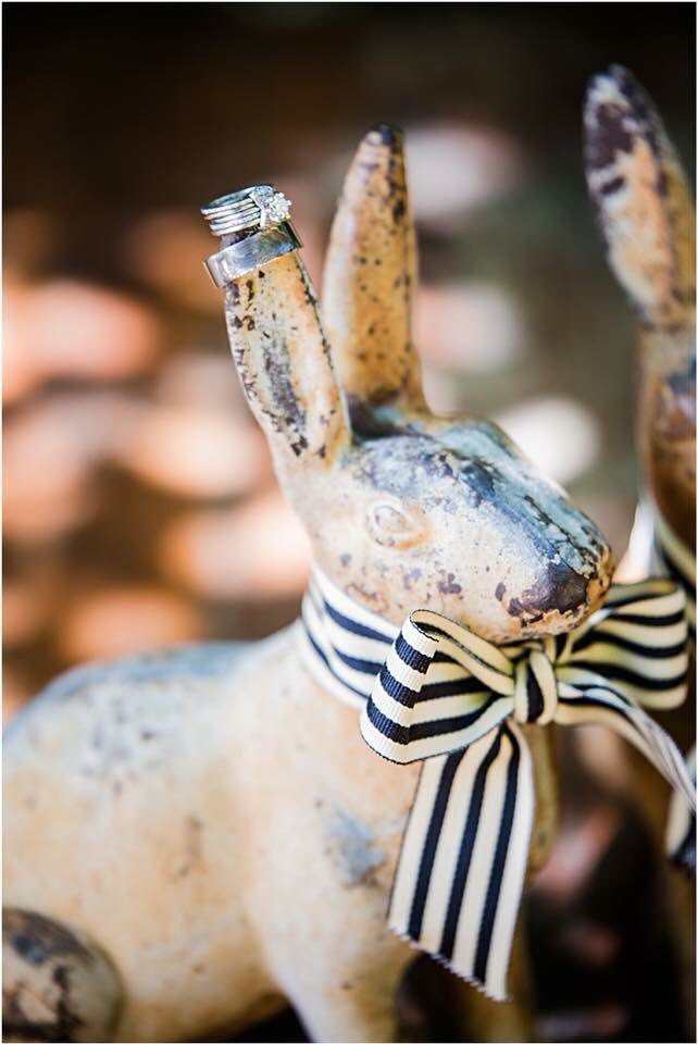 💍 I couldn’t think of a better ring bearer than our little French bunnies that welcomed me all our guests. #morrellsmoments