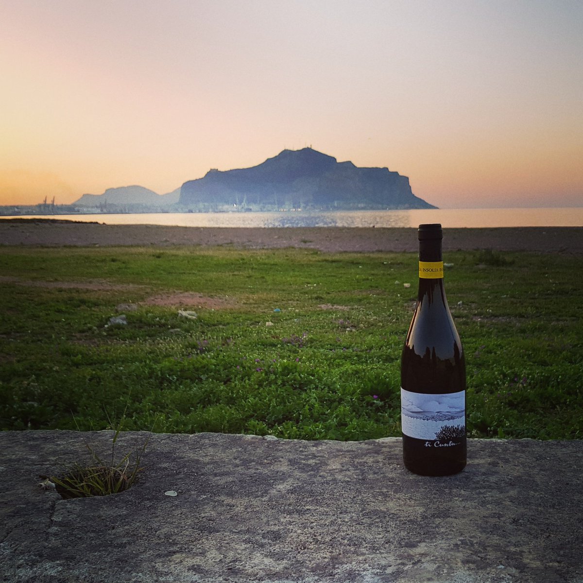 tenute_senia's tweet photo. I tramonti più belli!!
#vinimortilla #Palermo #sunset #presentation
#preview #newlabel #TiCuntu #history of #ragusa #drystonewall #Winetasting #voyagevoyage #ontheroad #onthewine #sicily #siciliabedda https://t.co/l9oiFLfV1j