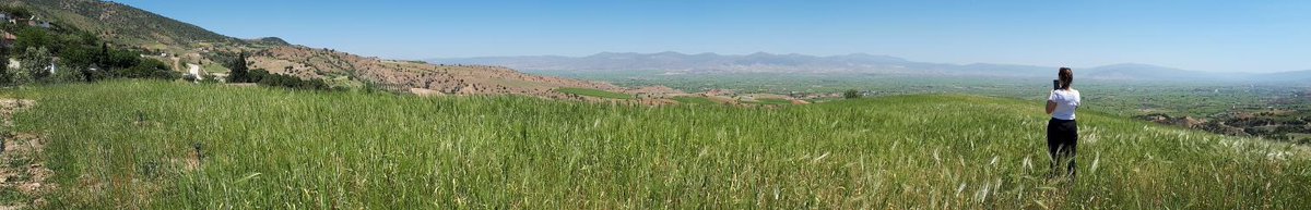 Özlem UZUNÇAM (@ozlemuzuncam) on Twitter photo 