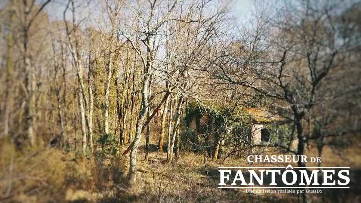 GussDx's tweet photo. Après une longue et fastidieuse enquête,
après plusieurs jours d'analyse minutieuse,
après plusieurs jours de montage, d'écriture et de création sonore et musicale,
le nouvel épisode de "Chasseur De Fantômes" sera bientôt publié en VOD.
Quant au lieu de cette enquête ... https://t.co/RqDs6BhPad
