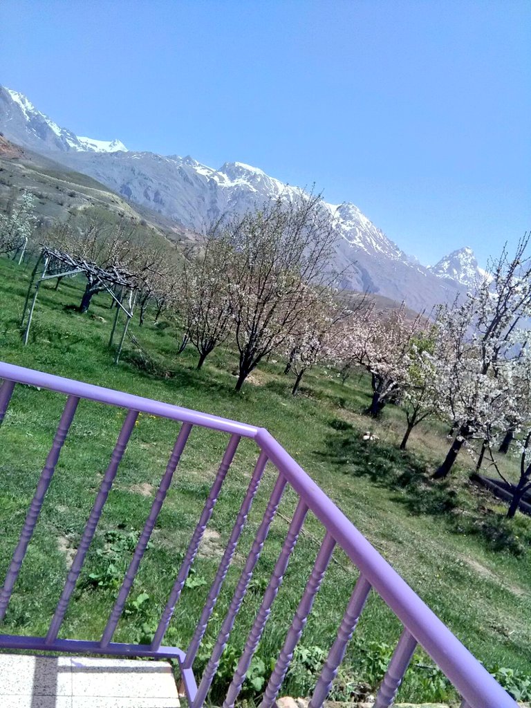 EsraEzgiii's tweet photo. @0rmanmuhendisi Yeni hobisi ; kullanmayı yeni öğrendiği telefonuyla fotoğraf çekmek olan Anneannemden... Bademdere/Niğde. Demirkazık dağı manzaralı. 😊🍃⛰ https://t.co/CdkjXls2O4