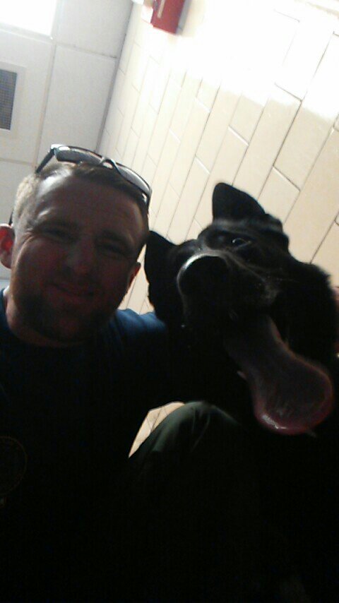 jdriscoll310's tweet image. @MRitland all that hardwork paid off.  This is my new buddy Topper!!  #K9 #PatrolDog #ExplosivesDetection