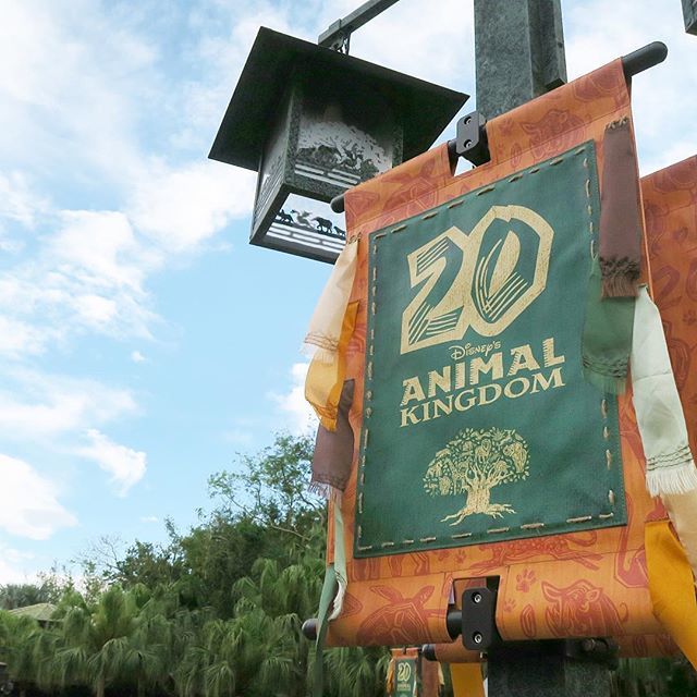 TheBrookharts's tweet photo. Sarah’s first trip to @waltdisneyworld was in 1998, so we will be celebrating another 20th anniversary this year! Wow, time sure does fly by! #animalkingdom #dak #20thanniversary #celebration #haveawildtime https://t.co/SmFgwUvPLI