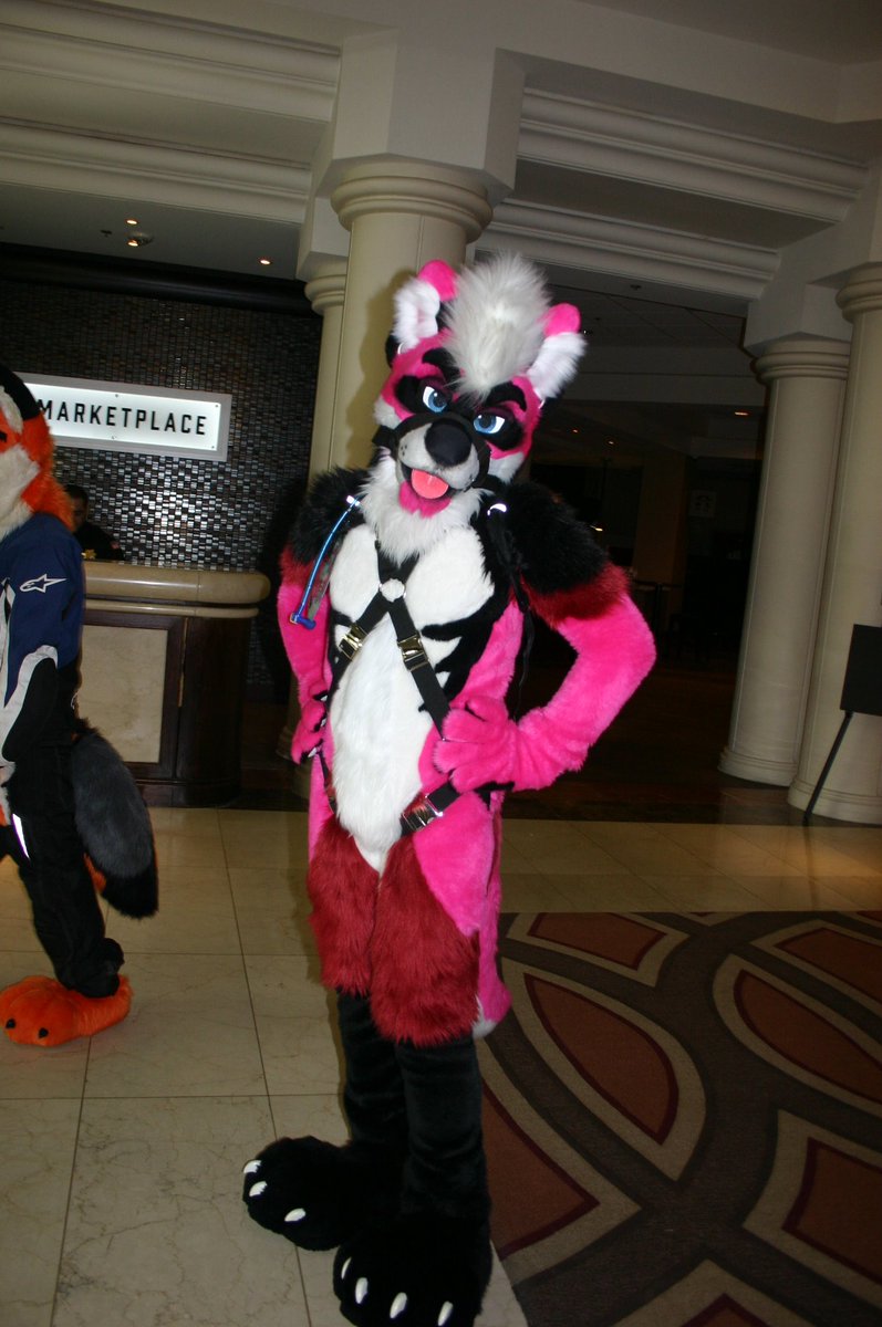 splinterpup tweet media