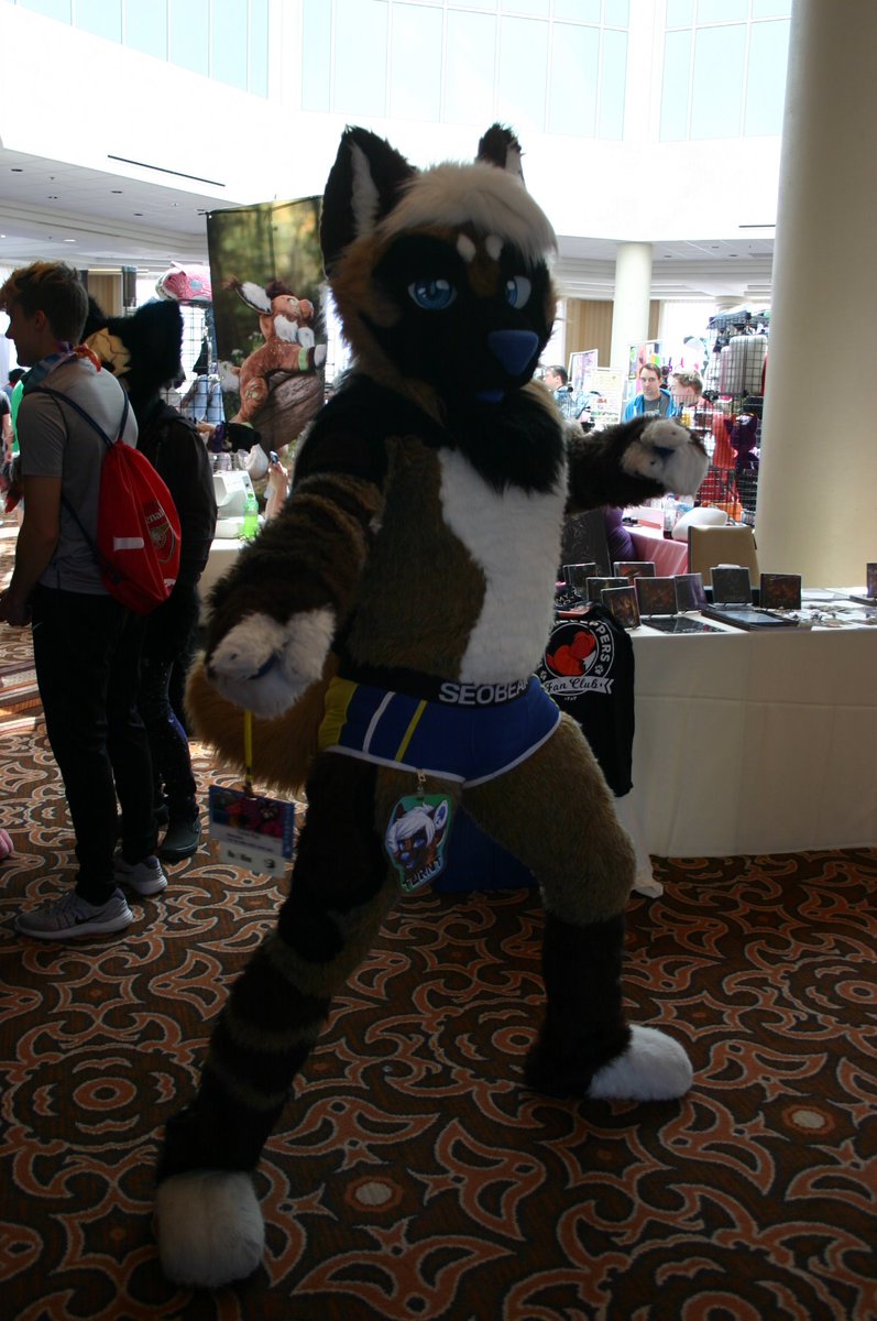 splinterpup tweet media