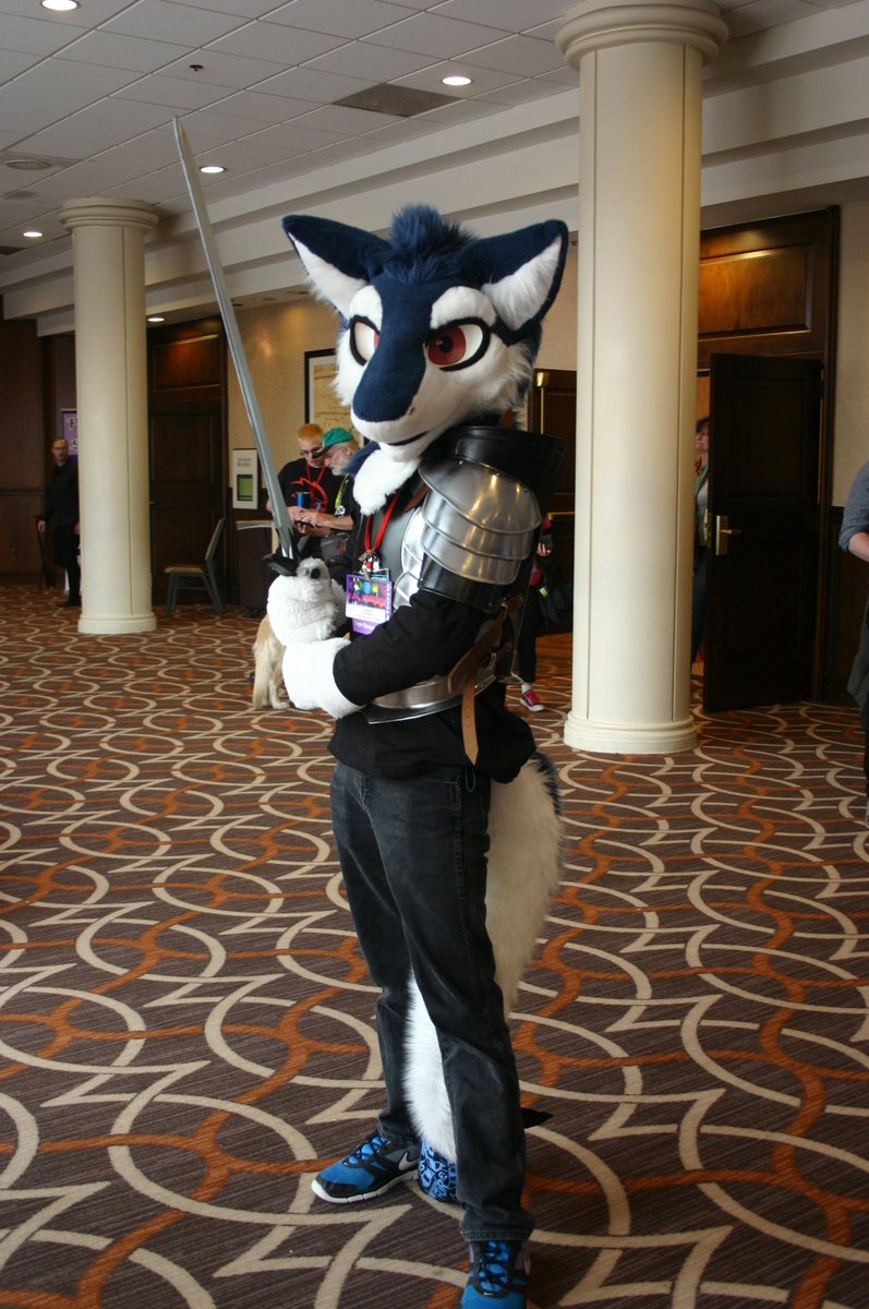 splinterpup tweet media