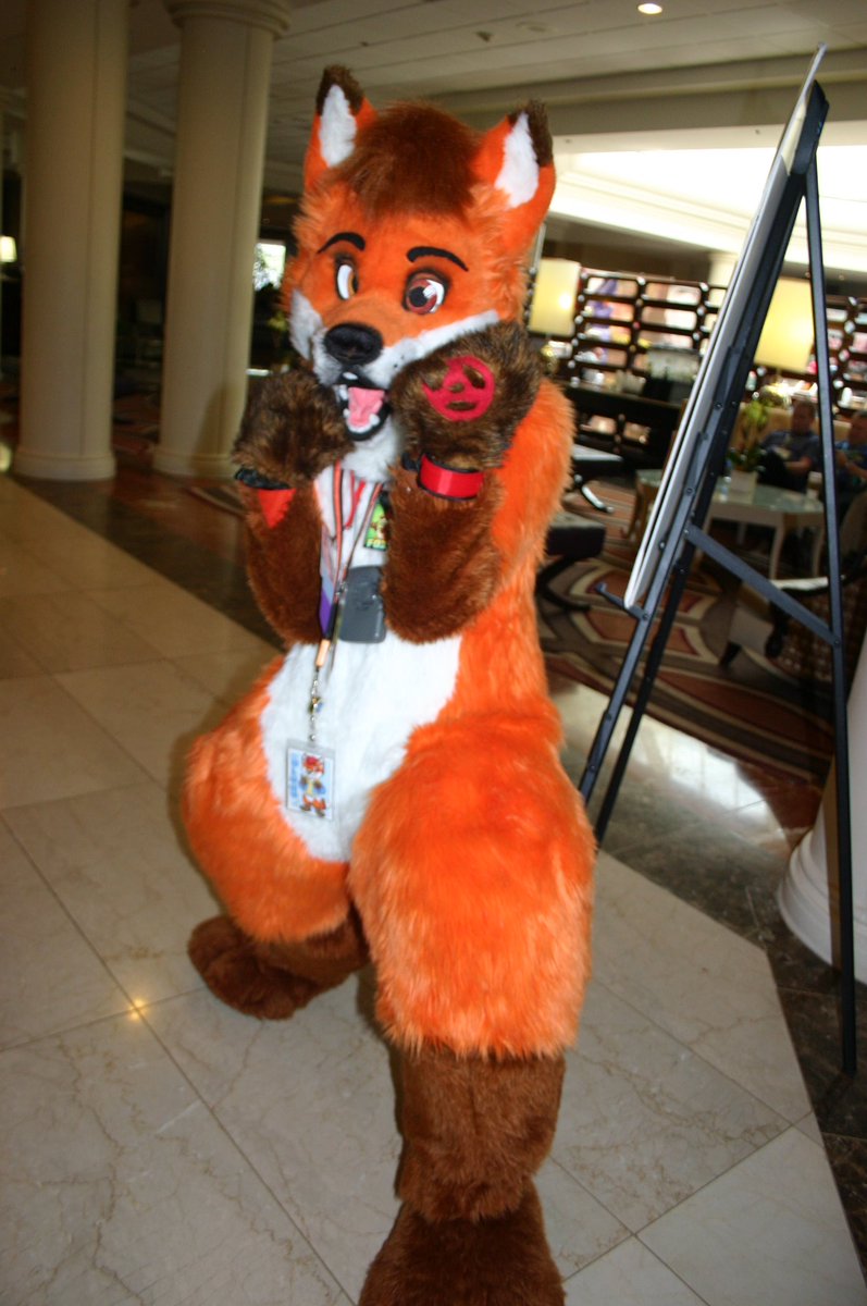 splinterpup tweet media