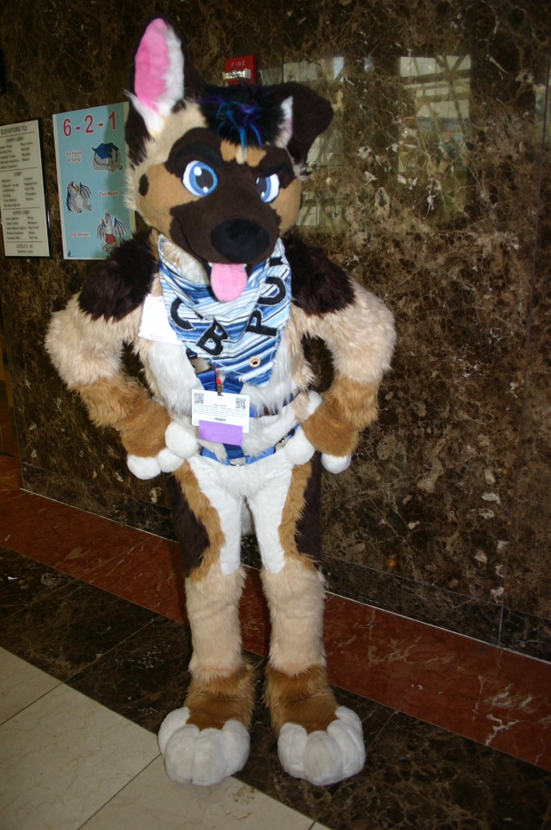 splinterpup tweet media