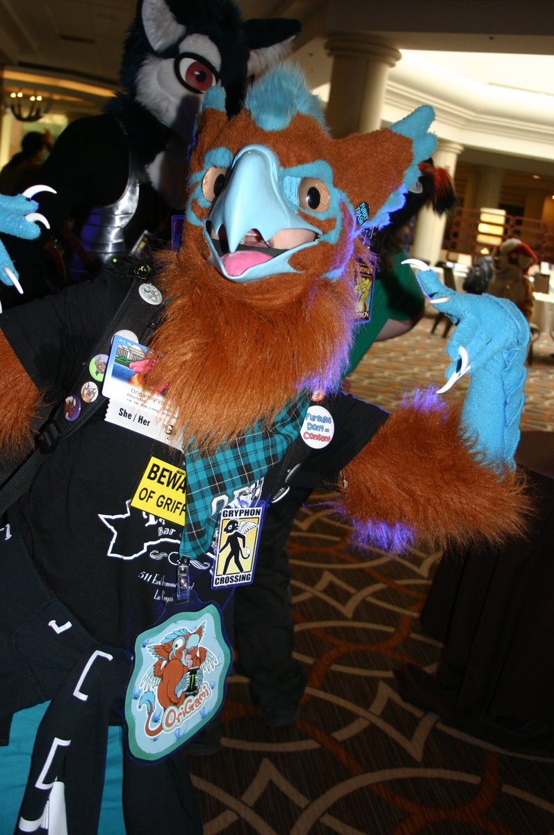 splinterpup tweet media