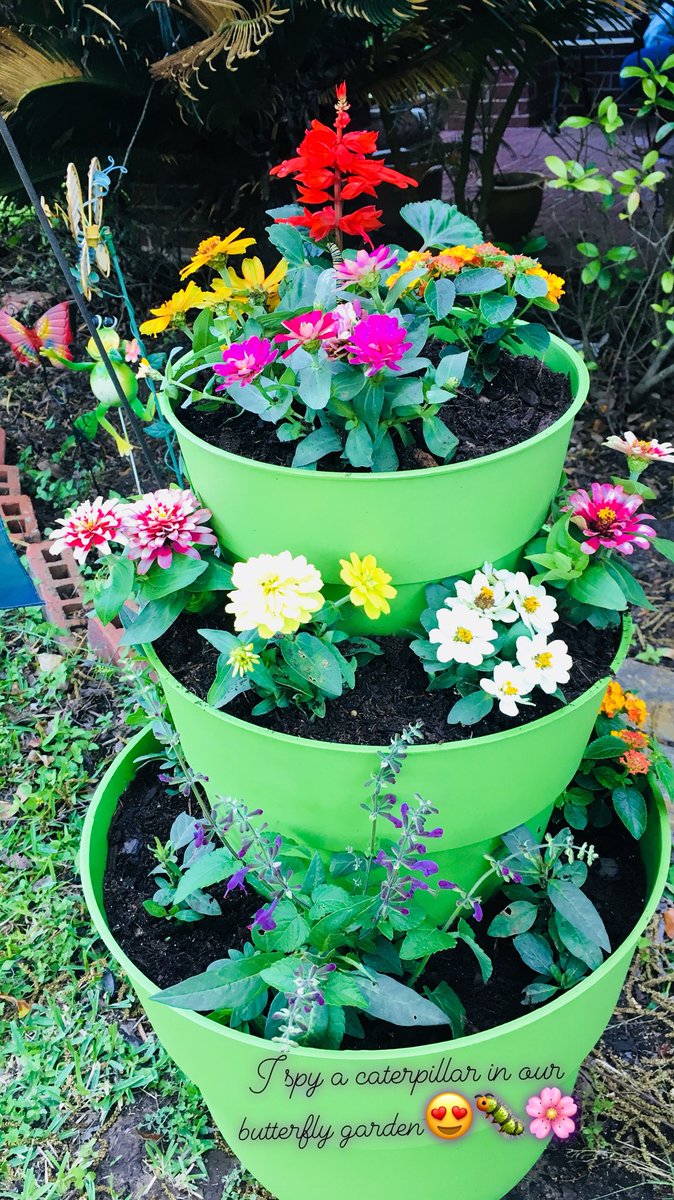 MsLeighaB's tweet photo. Twas the day after Earth Day, & a butterfly garden bloomed!😍💚🐛🌸💕💫🌎 I looooove Flowers!! #blooming #FlowerFanatic #DIY #Spring #HappyPlace https://t.co/RDWBWpJ3ur