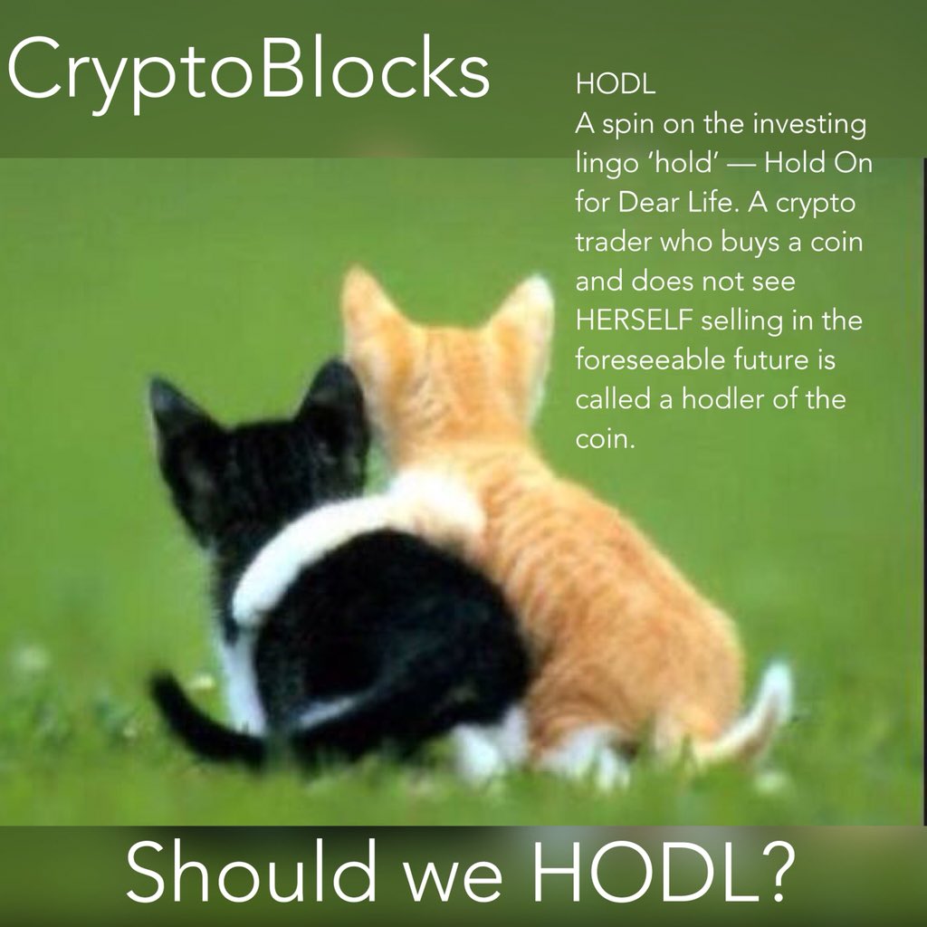 Let’s have fun learning Crypto lingo! Today’s term #HODL brought to you by <a href="/BravoTipOrPay/">BravoTiporPay</a> #WomenOfCrypto
