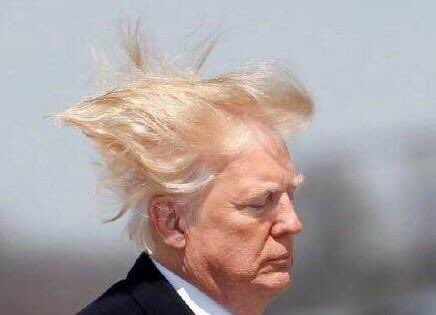 RISEOFCHN's tweet image. 拔丝特朗普…哈哈