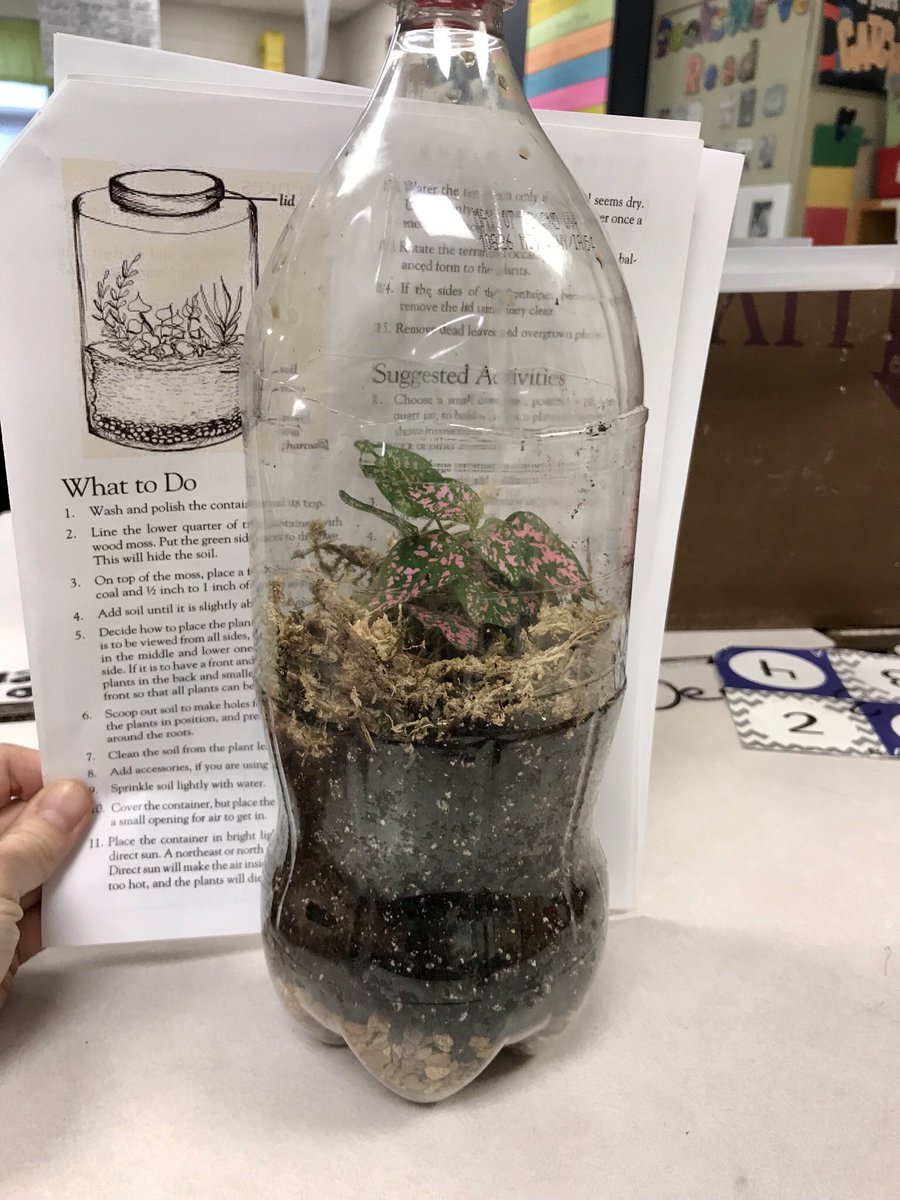 kendra_wads's tweet photo. Just a little Garden Club fun with some kiddos after school today! #ilove4H @simmonsbulldogs https://t.co/QytXBzz9e9