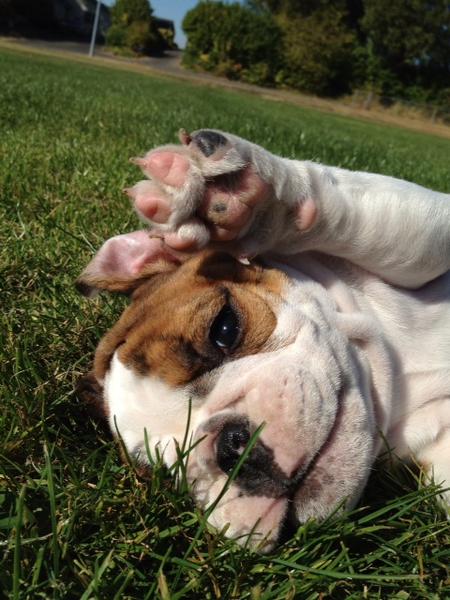 DUWritingWorks's tweet image. Our last day of business for spring semester is Sunday, May 13th. If you would like an appointment before the end of the semester, now is a good time to reserve a date and time! There is always an end-of-the-semester rush for our services. Thanks!