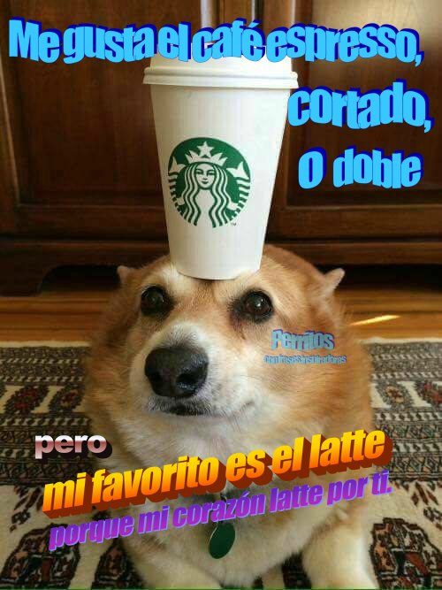 moonlaitt's tweet photo. @fantasykiho ahre siempre usaba losmismos es q hacenmucjo no gusrdomemes ): https://t.co/SO1NZz5VYE