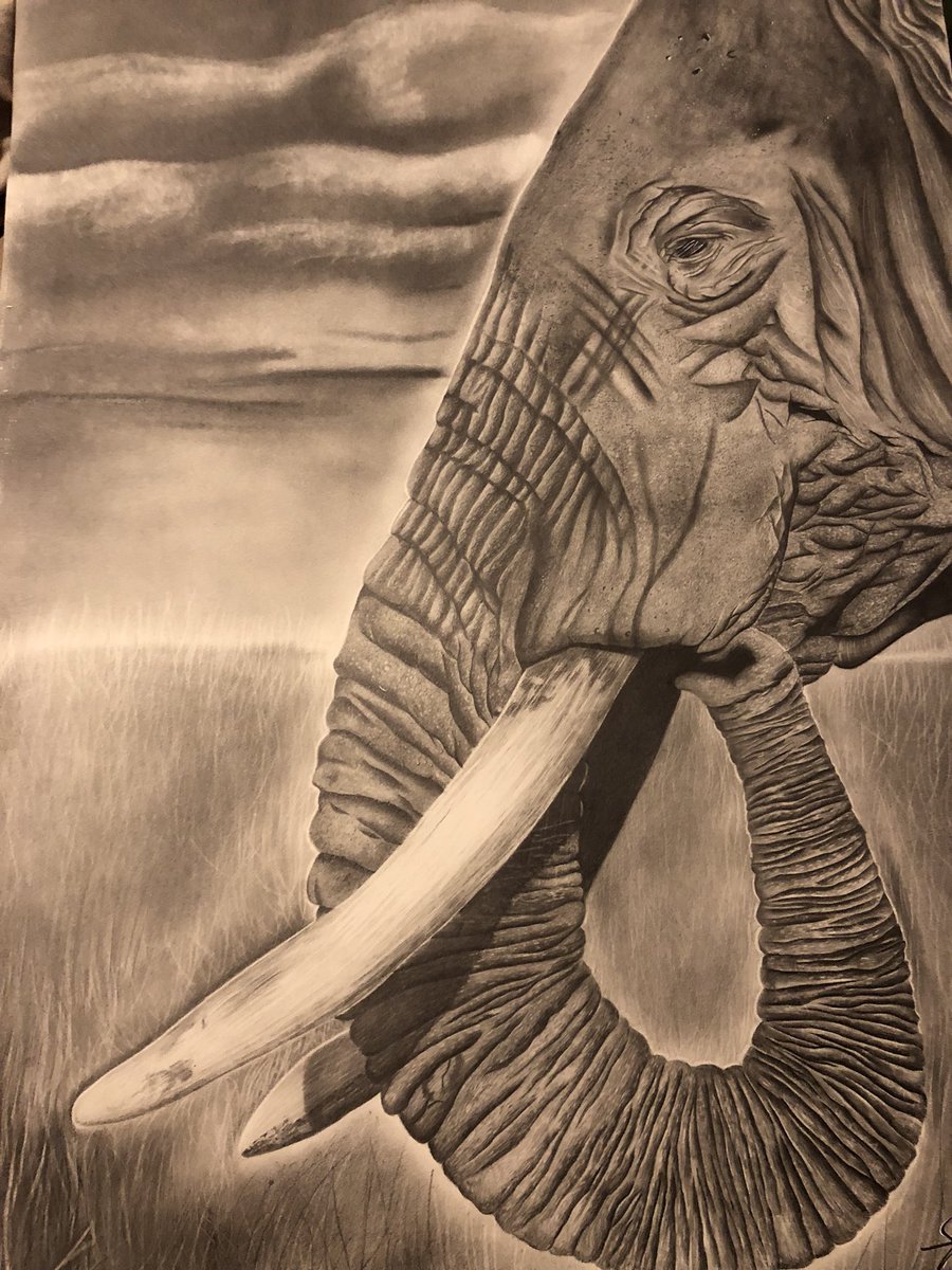 mrsnamerag's tweet photo. @WestoverHS Congrats to Jayden Harper on taking 1st place in the Congressional Art Competition for his drawing entitled, “Elephant”!!! He is a senior that I will miss dearly. Way to go Jayden!!! Please congratulate him if you pass by him!! 
N.G.
#ccsart https://t.co/t1q9gph02c