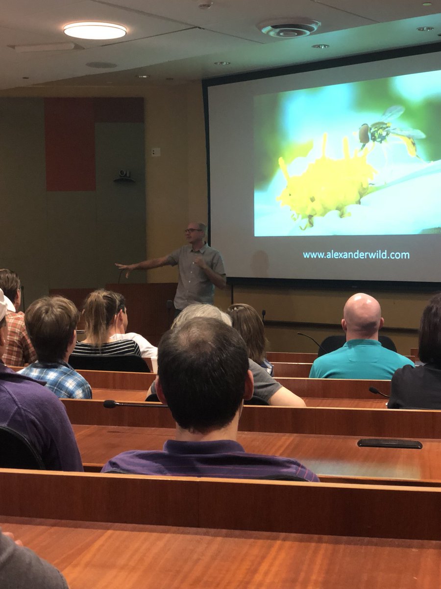 caleb_hubb's tweet image. Great talk by @Myrmecos on photography and documenting entomogy in the digital age @UCRentomology @UCR_ScienceNews @UCRiverside Thank you for the great talk!