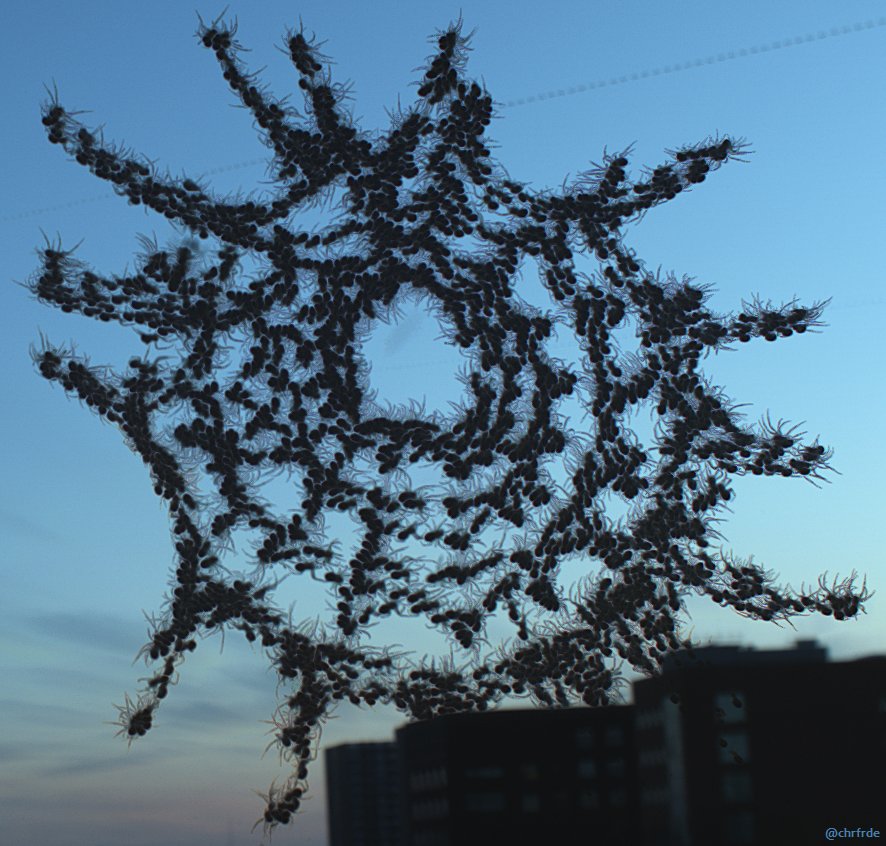 And now for something completely different - rediscovered unprocessed data of a spider building a net on my balcony. This composite image combines 2800 frames into one (minimum filter).