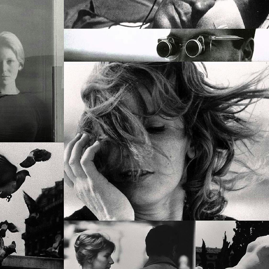 utslibrary's tweet photo. Free Film Screening: La Jetée. UTS Library Monday 30 April 6pm. Level 4: Room 4.k. #utslibrary https://t.co/tii8sfyTQT