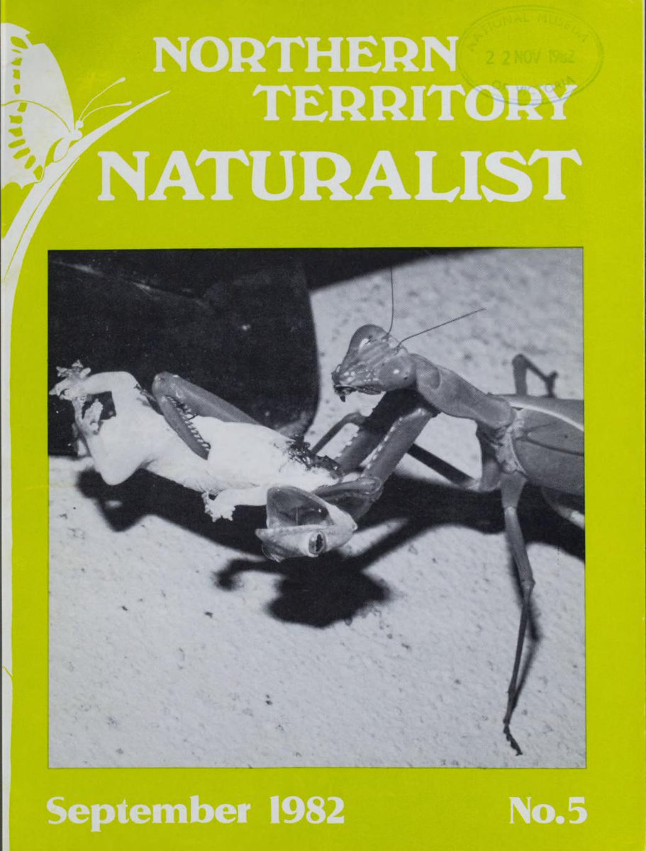bhl_au's tweet photo. Explore Australia's amazingly biodiverse top end: all volumes of the "Northern Territory Naturalist" published up to 2010 are now on @BioDivLibrary thanks to the NT Field Naturalists' Club &amp; @atlaslivingaust (with more to come). #OpenAccess #InCopyright https://t.co/SksIQ0qdez https://t.co/Umr1FEPzgM