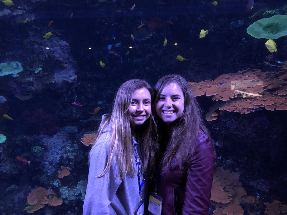 CSHS_DECA's tweet photo. The Cactus Shadows ICDC crew had a blast at the Georgia Aquarium yesterday!🐠 #DECAICDC https://t.co/HwaeMGqaUM