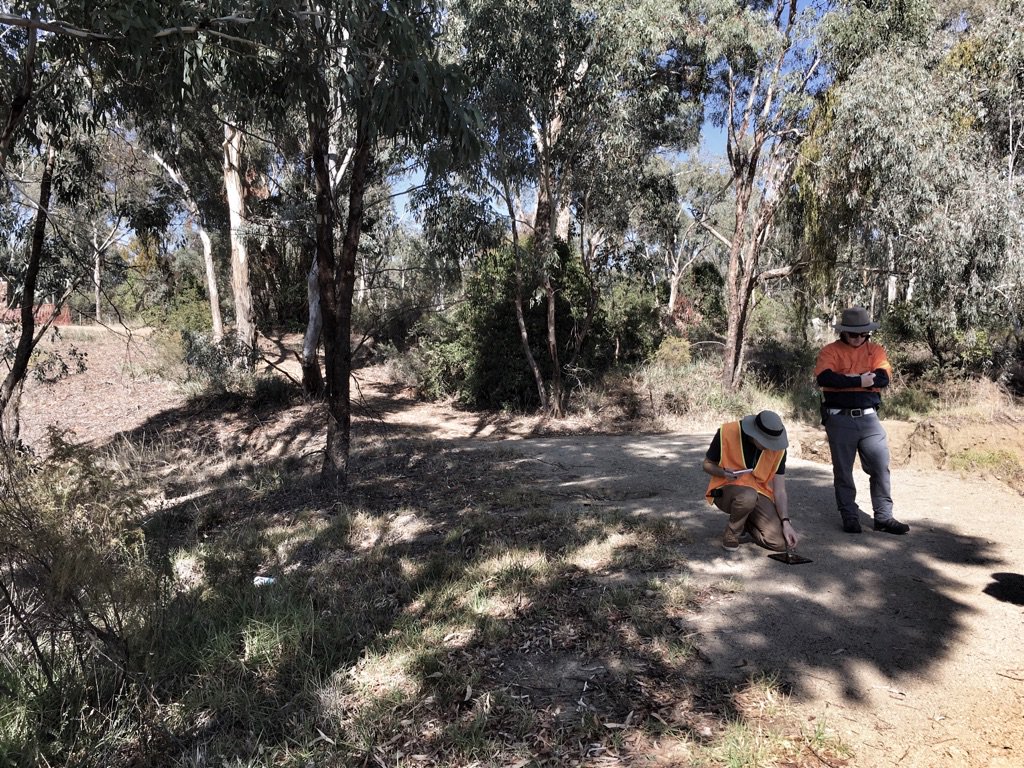 allisonhornery's tweet image. Excited to be doing our first #newspatial drone data capture with NSW Spatial Services at @HilltopsCouncil today