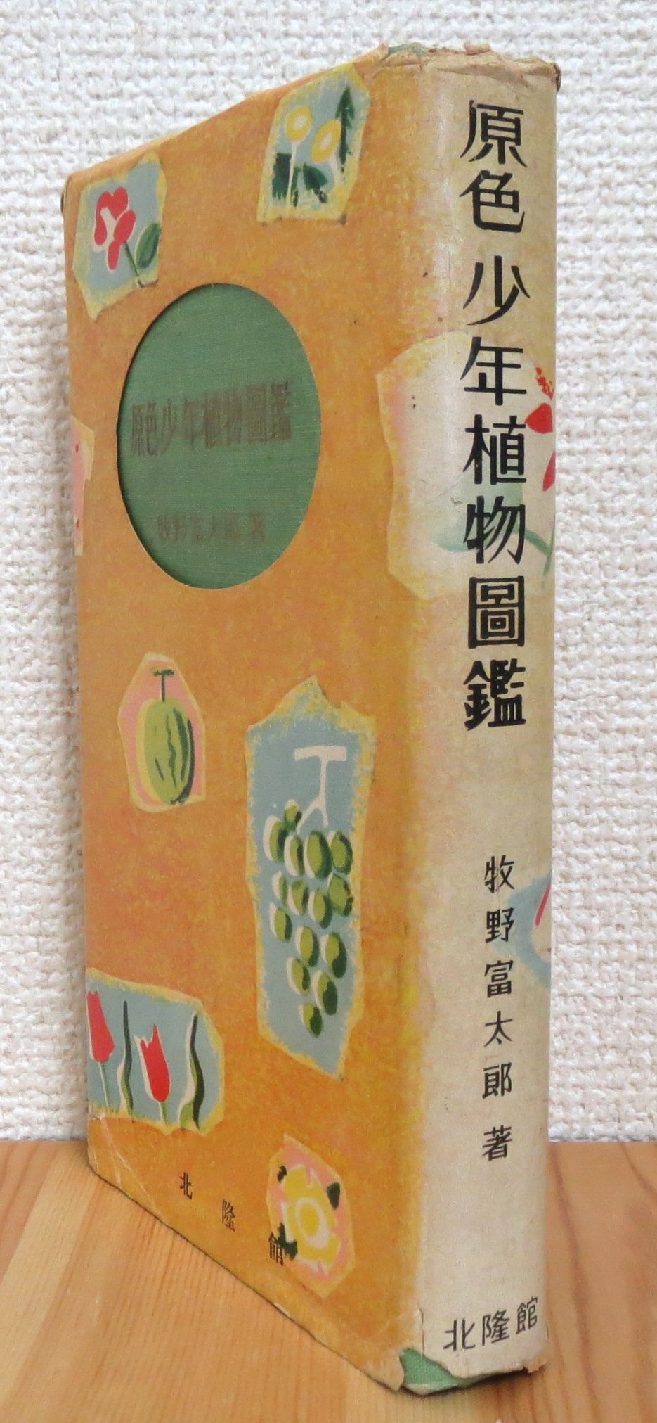 牧野富太郎著 原色少年植物図鑑