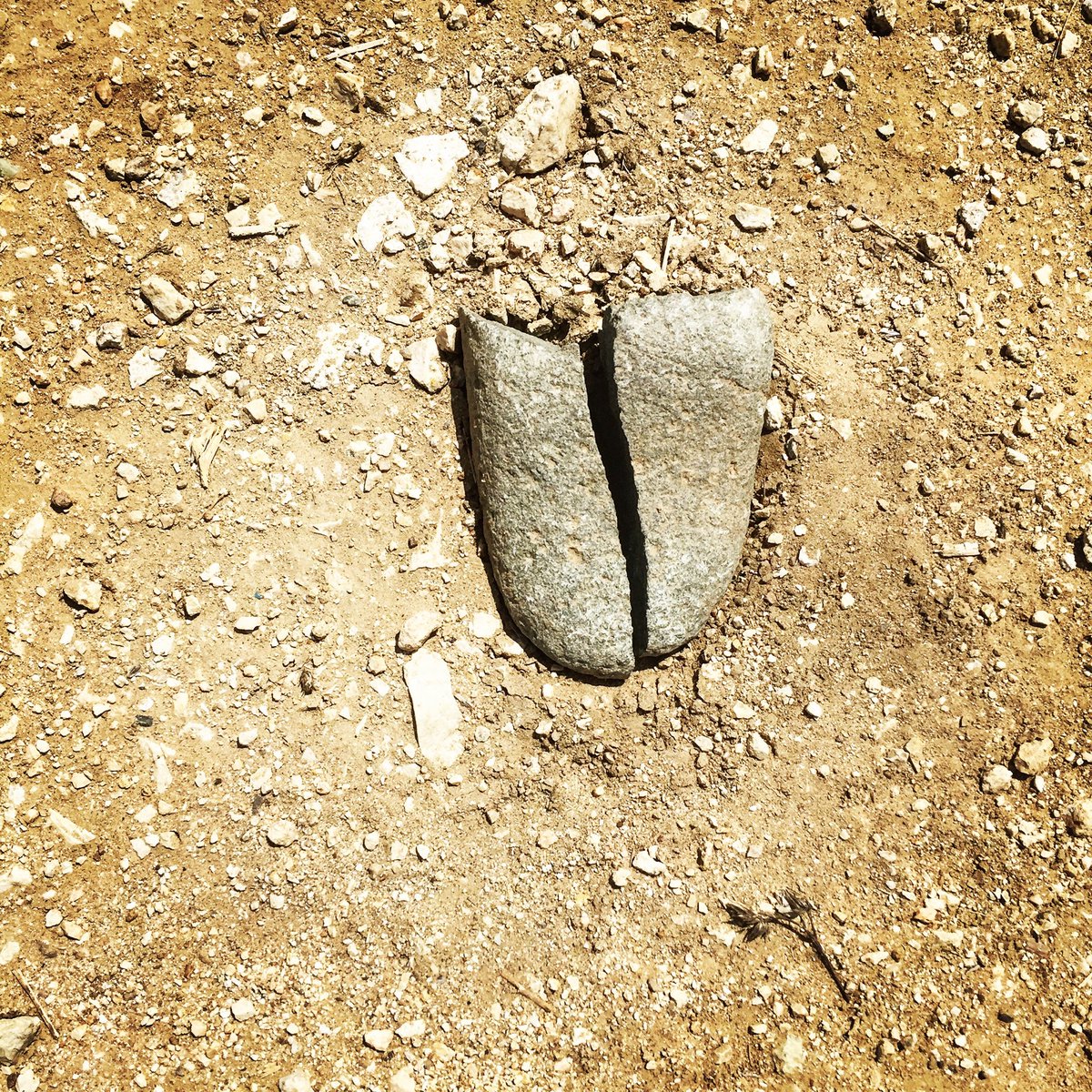 tipometromx's tweet image. Stone tongue.
.
#lengua #lenguadepiedra #stonetongue #stone #tongue #forkedtongue #lenguabifida #oaxaca #land #👅