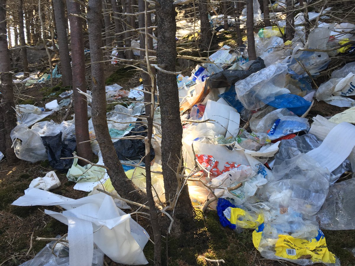 Plastic Bag Ban Nl On Twitter The Plastic Forest On The