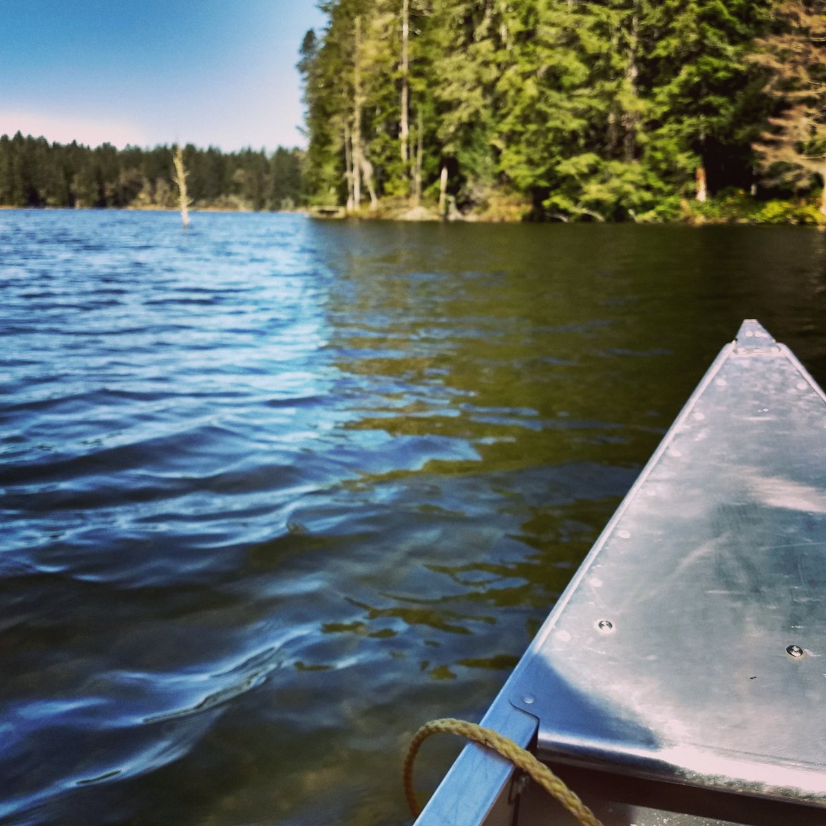 amber_amberson's tweet photo. Sometimes being a professional Girl Scout has its perks #canoeviews #campday #tasteslikesummer https://t.co/uTpHXZyTdO