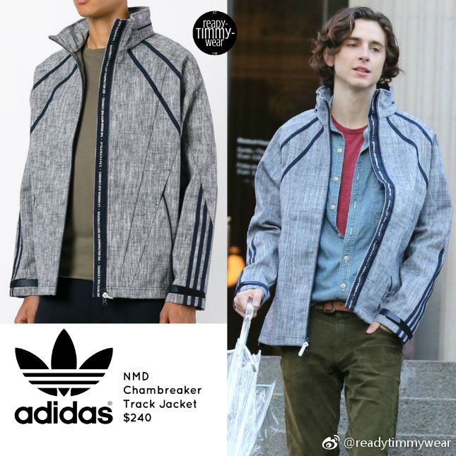 A Rainy Day In New York Timothée Chalamet Coat