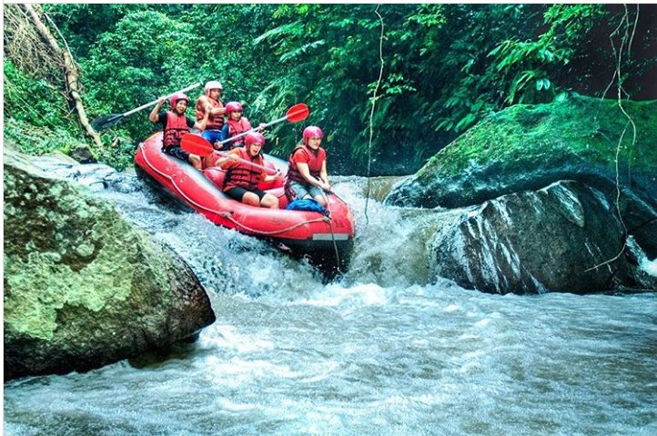 TrueBaliExp's tweet photo. Sunny day is a good day for some splash 💦💦
.
.
.
.
#bali #balilife #balilivin #explorebali #balibible #wonderfulindonesia #liburanbali #instagood #like4like #nature #balibucketlist #elephantcamp #elephantconservation #balirafting #ayungrafting #truebaliexperience https://t.co/fzF76002Em