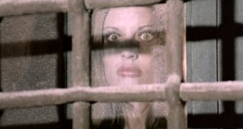 Dracula, Prisoner of Frankenstein (1972): atthemansionofmadness.blogspot.com/2018/04/dracul… #JessFranco #SpanishHorror #GothicHorror #FrenchHorror #BrittNichols #AnneLibert #HowardVernon #Dracula #Frankenstein