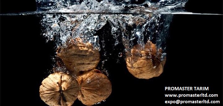 PromasterTarim's tweet image. Ceviz suyunun faydaları;
3-Ceviz suyu tüketmek uzun süre tokluk sağlar, hızlı zayıflatır.
Benefits of walnut water;
3- Consume walnut water provides satiety and loses weight fastly.

promasterltd.com