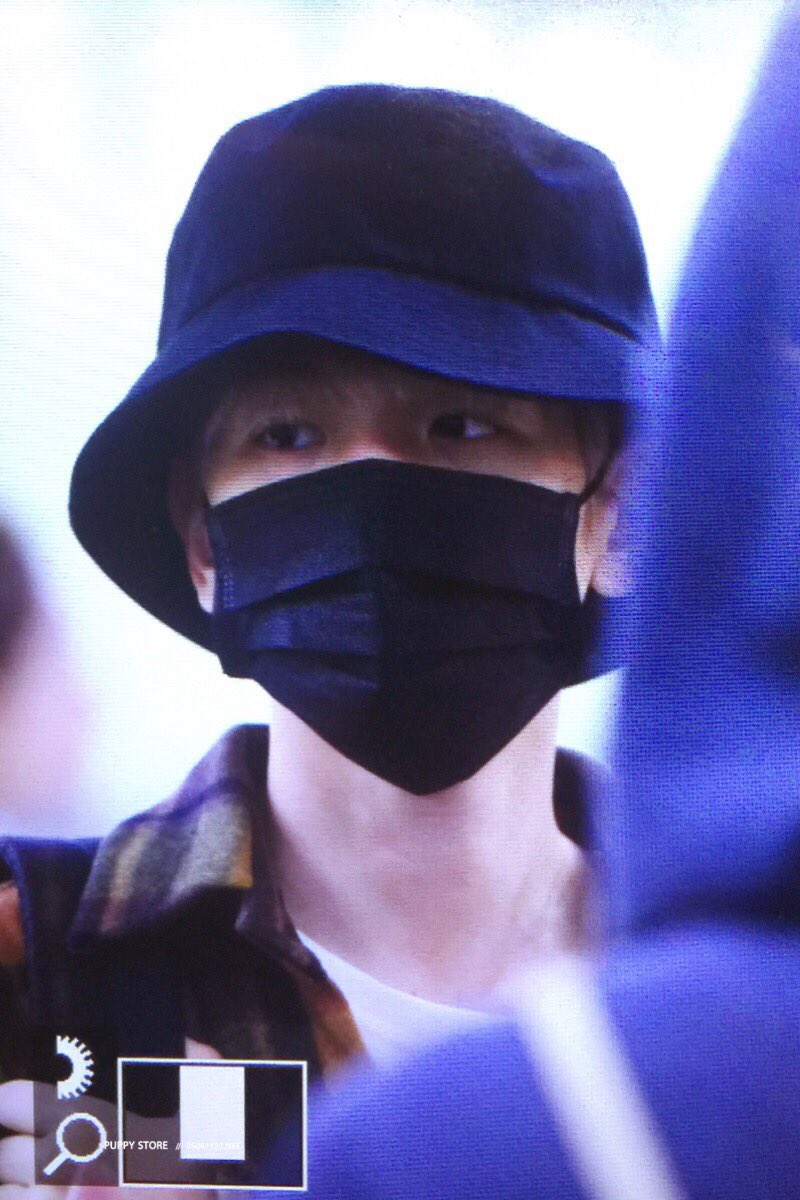 puppystore_1992's tweet photo. 180424 김포공항 백현이♡ https://t.co/QRLWrShSGk