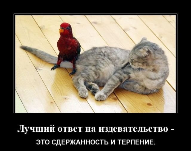 prikolnuha's tweet photo. #юмор #шутки #приколы - Демотиваторы https://t.co/h0GGoQKaSS