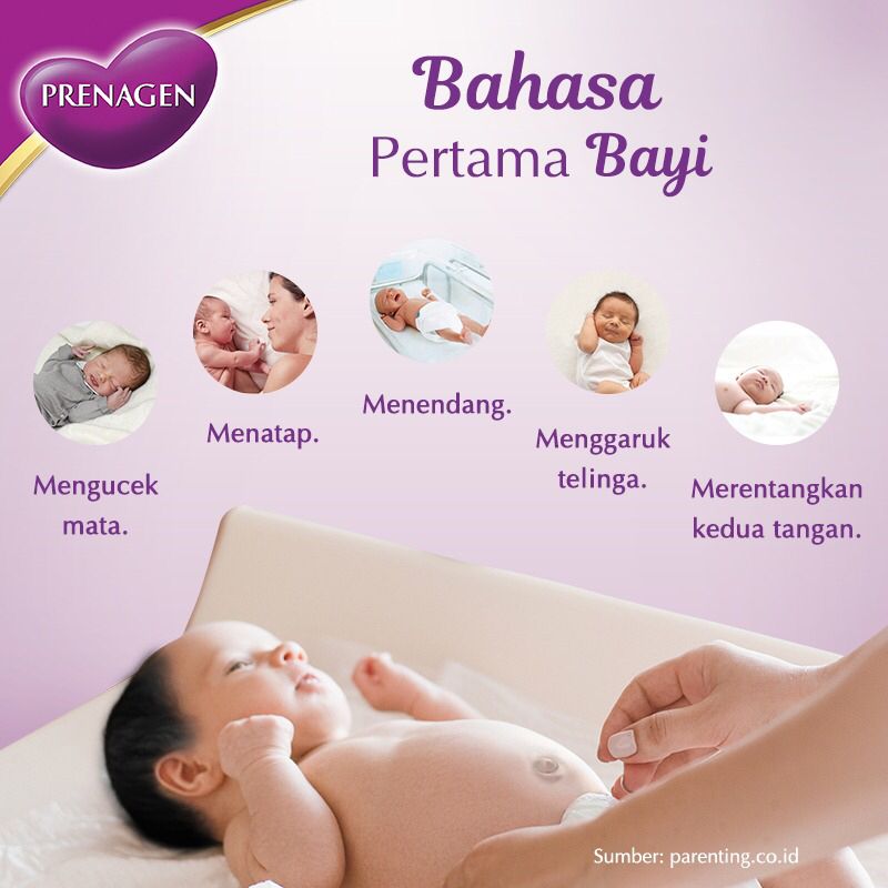 prenagenworld tweet media