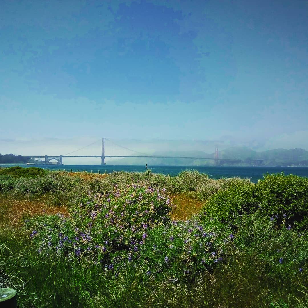 natpackertravel's tweet photo. Just a few pictures of the #goldengatebridge on the walk to it and over it today. There were some spectacular views on the walk! And the @KameleonRose #traveldress was perfect for the walk. So comfy! #USpacker https://t.co/tNgK4lAucL