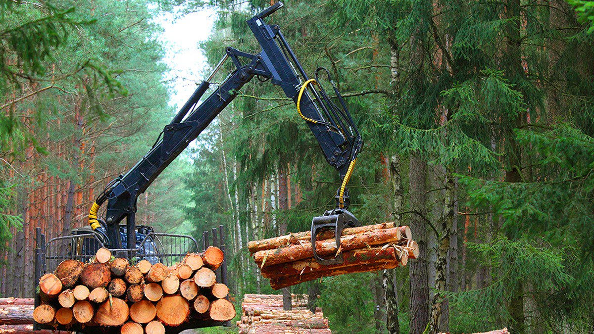 Tietoevry's tweet photo. Over 50 % of forest companies in the Nordics lack a #digitalization strategy but they see many business opportunities in the area. The Forest Industry’s IT Barometer 2018 report is now ready for you to read: https://t.co/k9MprF8eMz #DigiBarometer #forestry #IT #growth https://t.co/N1TYRjRqTE