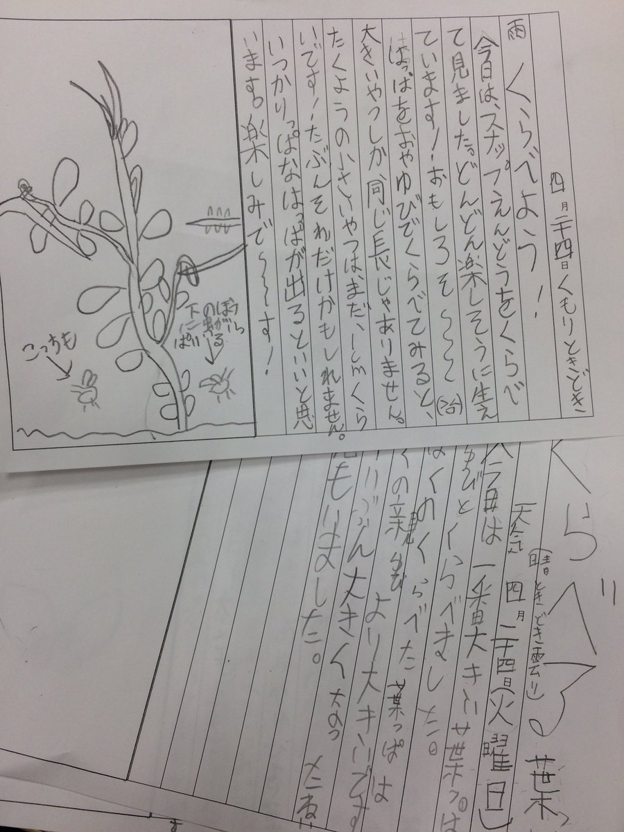 asijMachidori's tweet photo. #G2JPclass students tried to describe the size of a leaf comparing with their thumb. https://t.co/RW3V5ey7iI