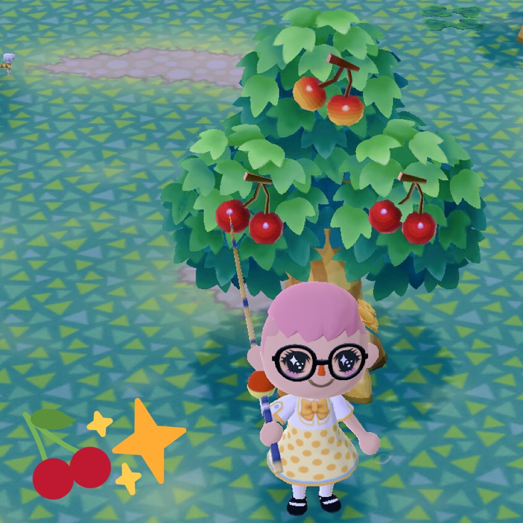 ACPC_Cai's tweet photo. two #PerfectFruit at Lost Lure Creek, & i didnโt even have to restart !! ๐โจ๐โจ๐๐๐ #AnimalCrossing #PocketCamp https://t.co/JrLrJYYO98