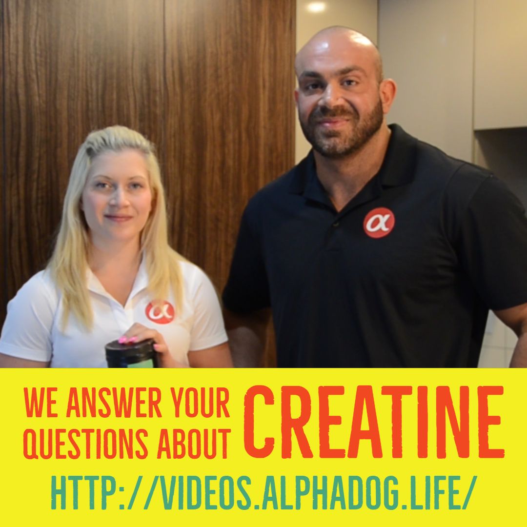 AlphaDog_Life's tweet photo. We answer your questions about our featured ingredient: Creatine. YES! It is good for dogs of all sizes and breeds. 

AlphaDog Life https://t.co/cfJ4kL6Xcg 
Advanced Dog Nutrition
The world's first nootropic dog nutritional supplements. https://t.co/oKtsaqoNtN