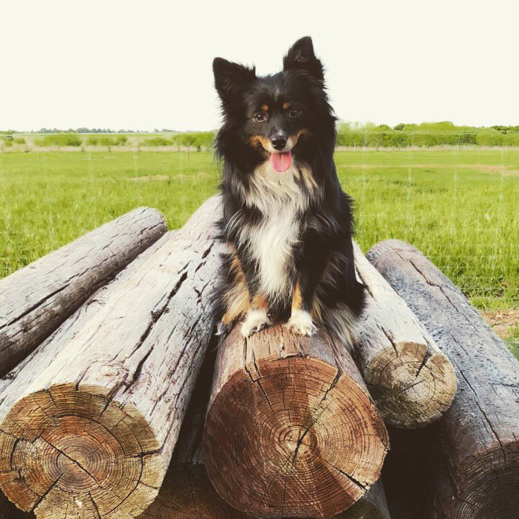 _lanlan4's tweet image. Me in January when the syllabus said everything important is due in April vs me in April