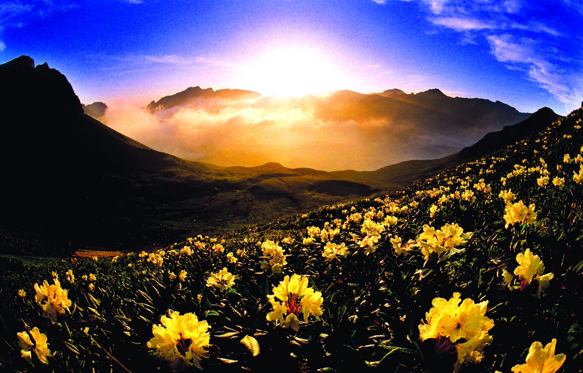 Visit China Now tweet media