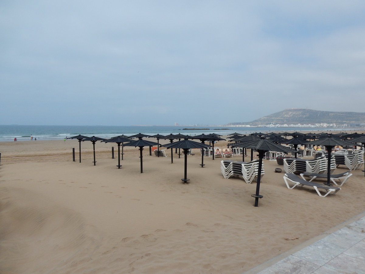 SmartTravelApp tweet media